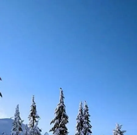 Capannina Szálloda Cortina dʼAmpezzo