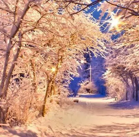 Capannina 酒店 科尔蒂纳丹佩佐