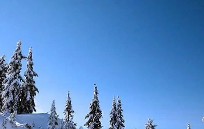 Capannina Hotel Cortina dʼAmpezzo